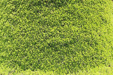 步入奇幻之地 《上古卷轴5》DLC规模自制MOD赏